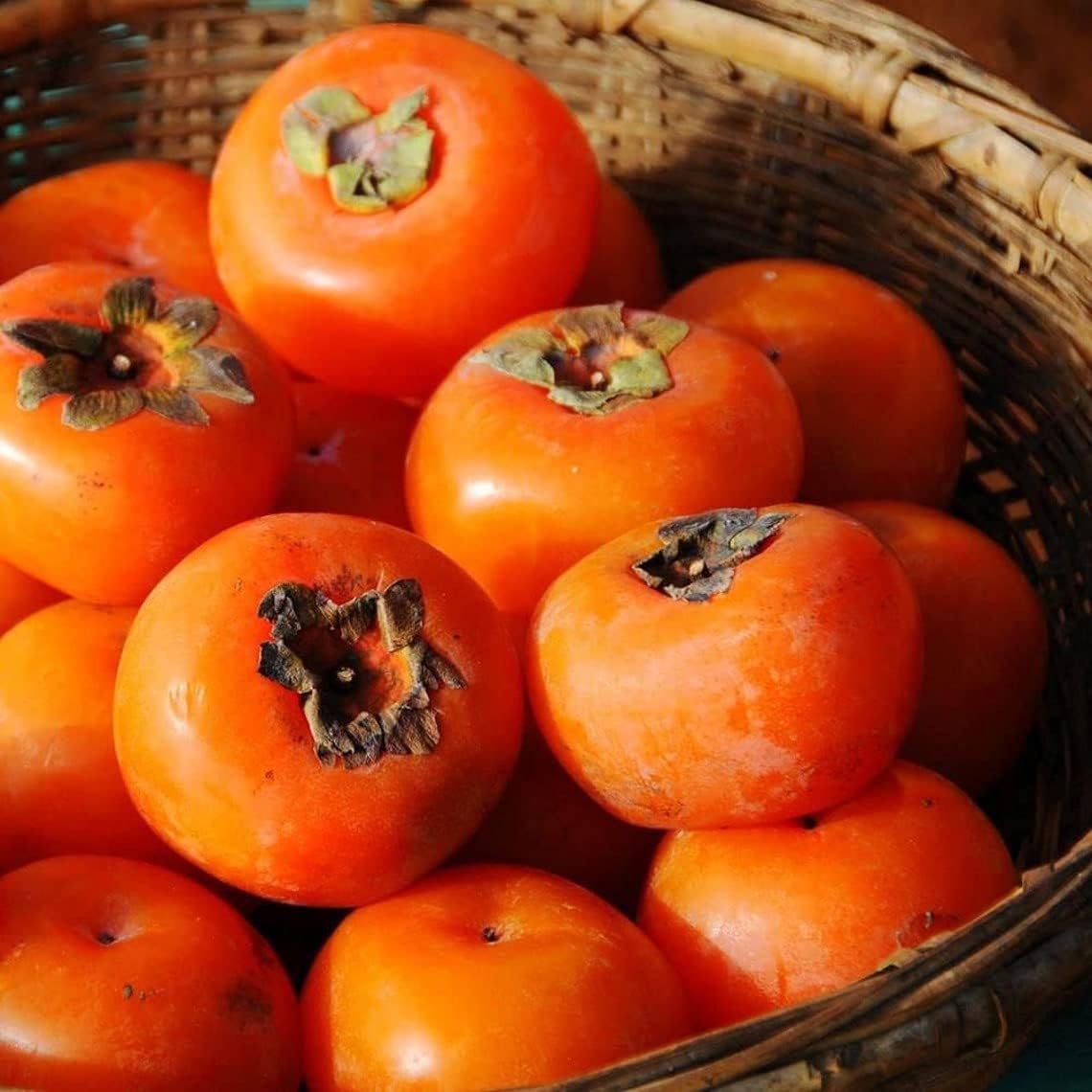 Persimmon Tree Seeds - 50 Seeds P3870