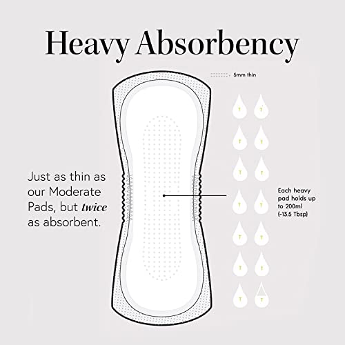 28-Pack High Absorbency Incontinence Pads Y806324