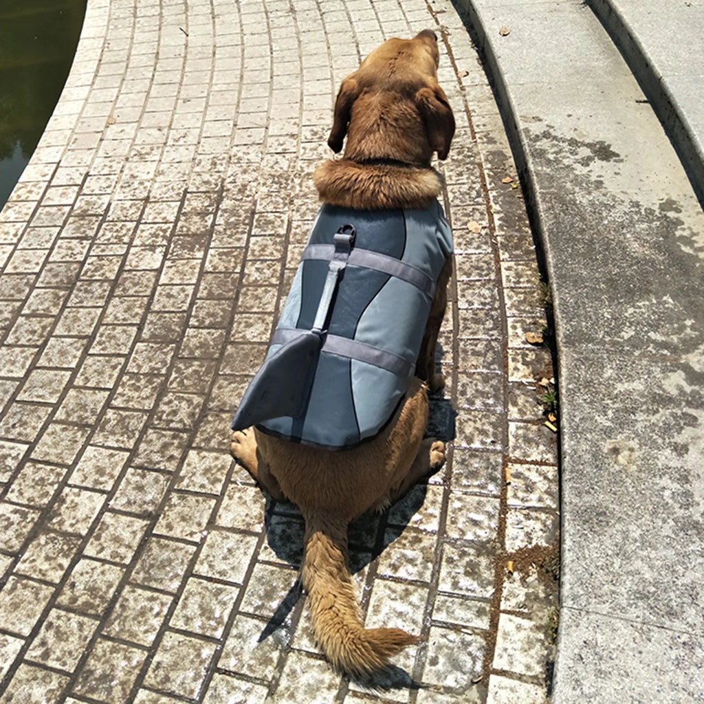 Dog Pet Shark Swimsuit Vest Pet Safety Wear Dog Swimsuit Preserver For Water Safety Device At The Pool, Beach, Boating E199