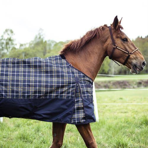 1200D Lightweight Turnout Sheet - 100g A899