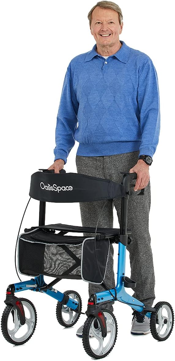 Aluminum Rollator Walker with Seat, 10'' Wheels, Compact Folding Design, Carry Bag T69222
