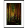 Framed Photographic Print Z89820