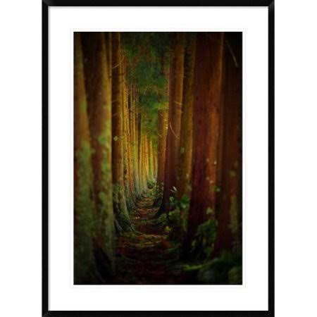 Framed Photographic Print Z89820