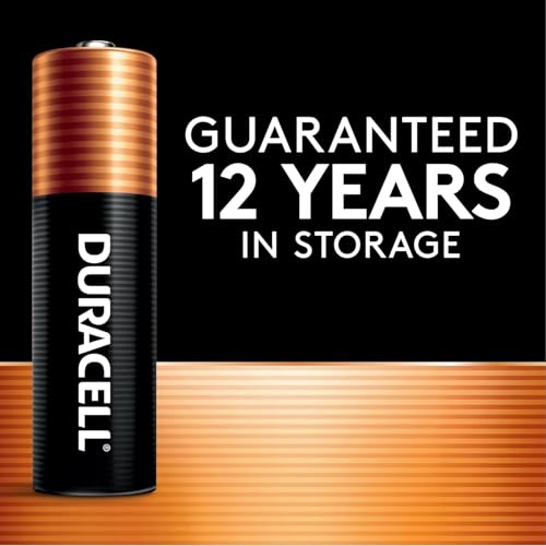 20 Count AAA Alkaline Batteries S821663