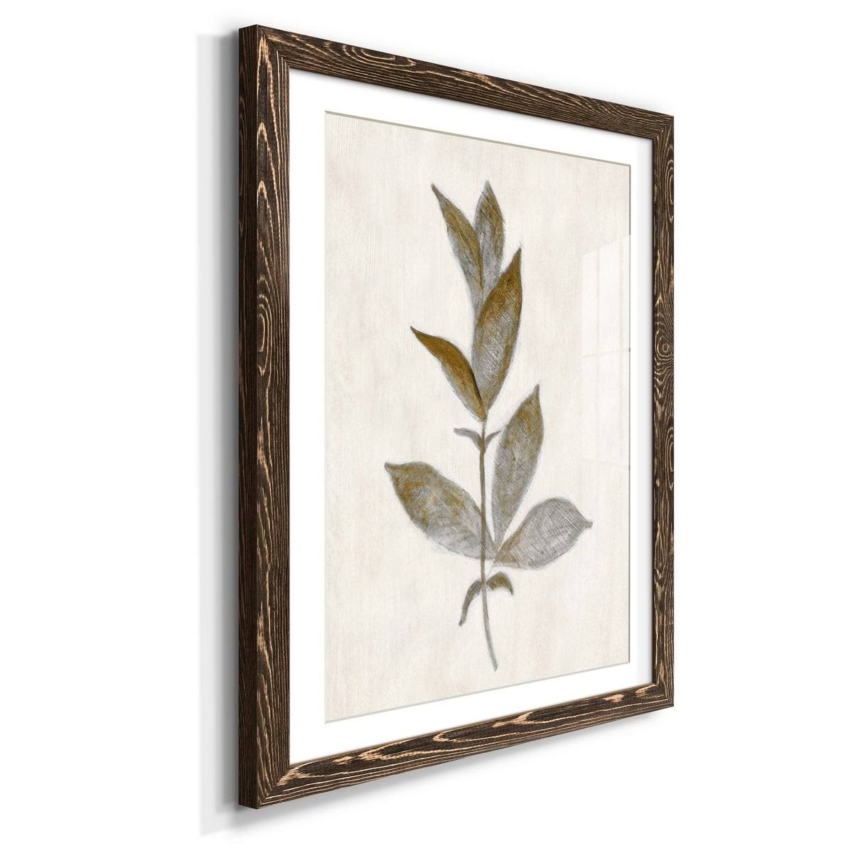 Walnut Framed Print Y9817