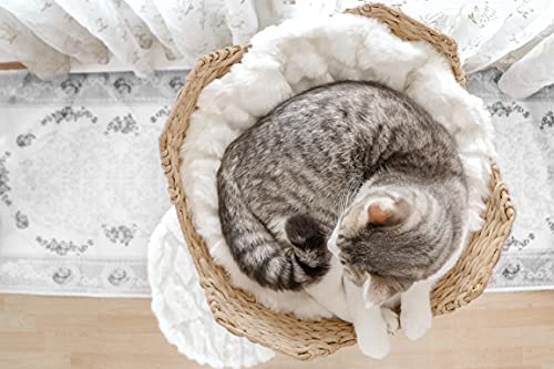 Brown Wooden Cat Tree M3673