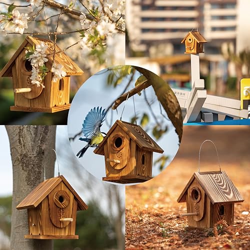Carbonized Solid Mortise & Tenon Bird House DIY Kit A656