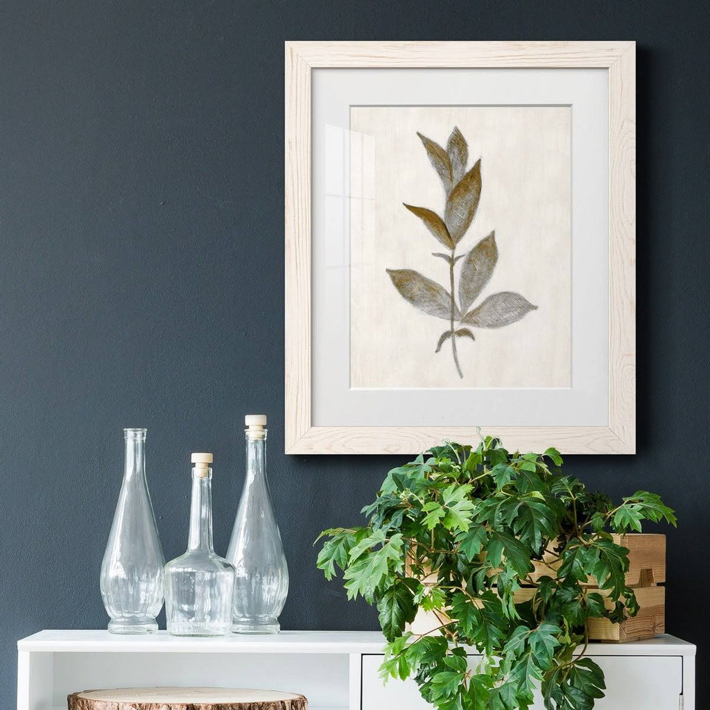 Walnut Framed Print Y9817