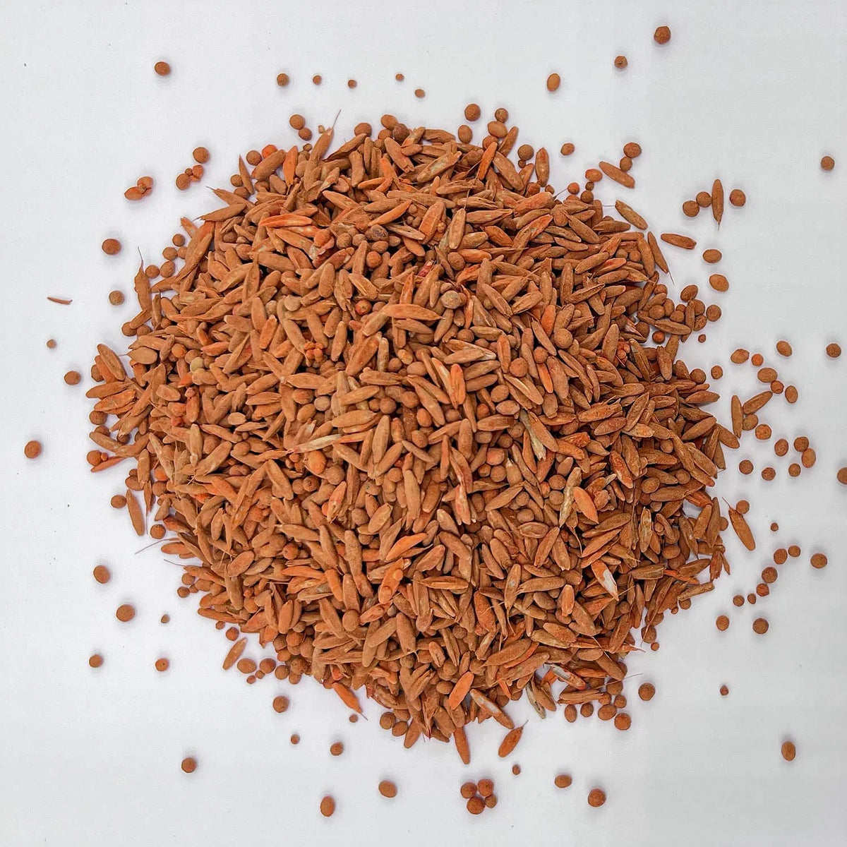 Deer Food Plot E840954