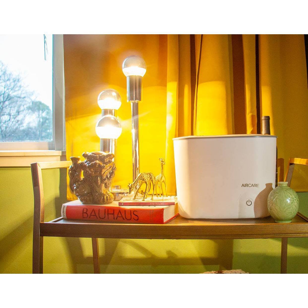 0.75 Gal Steam Humidifier P6620