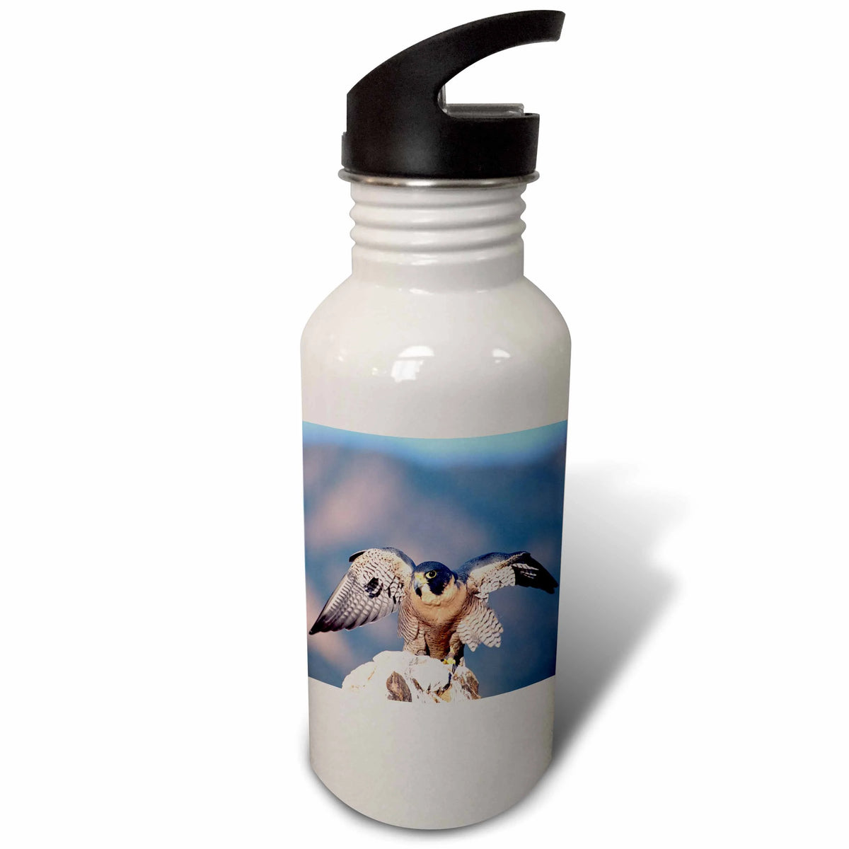 21 oz Sports Water Bottle Q208723
