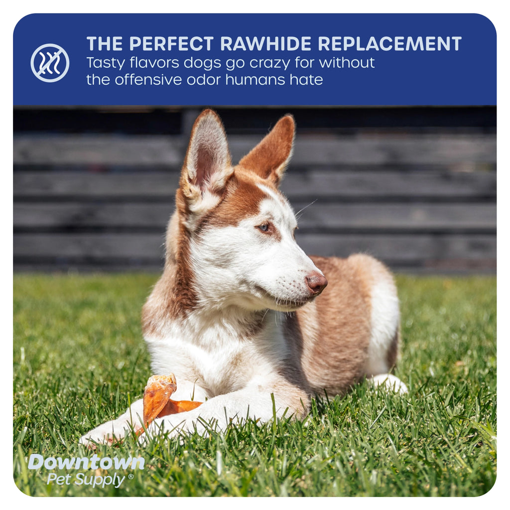 35 Pack Pig Ears Dog Chews F134