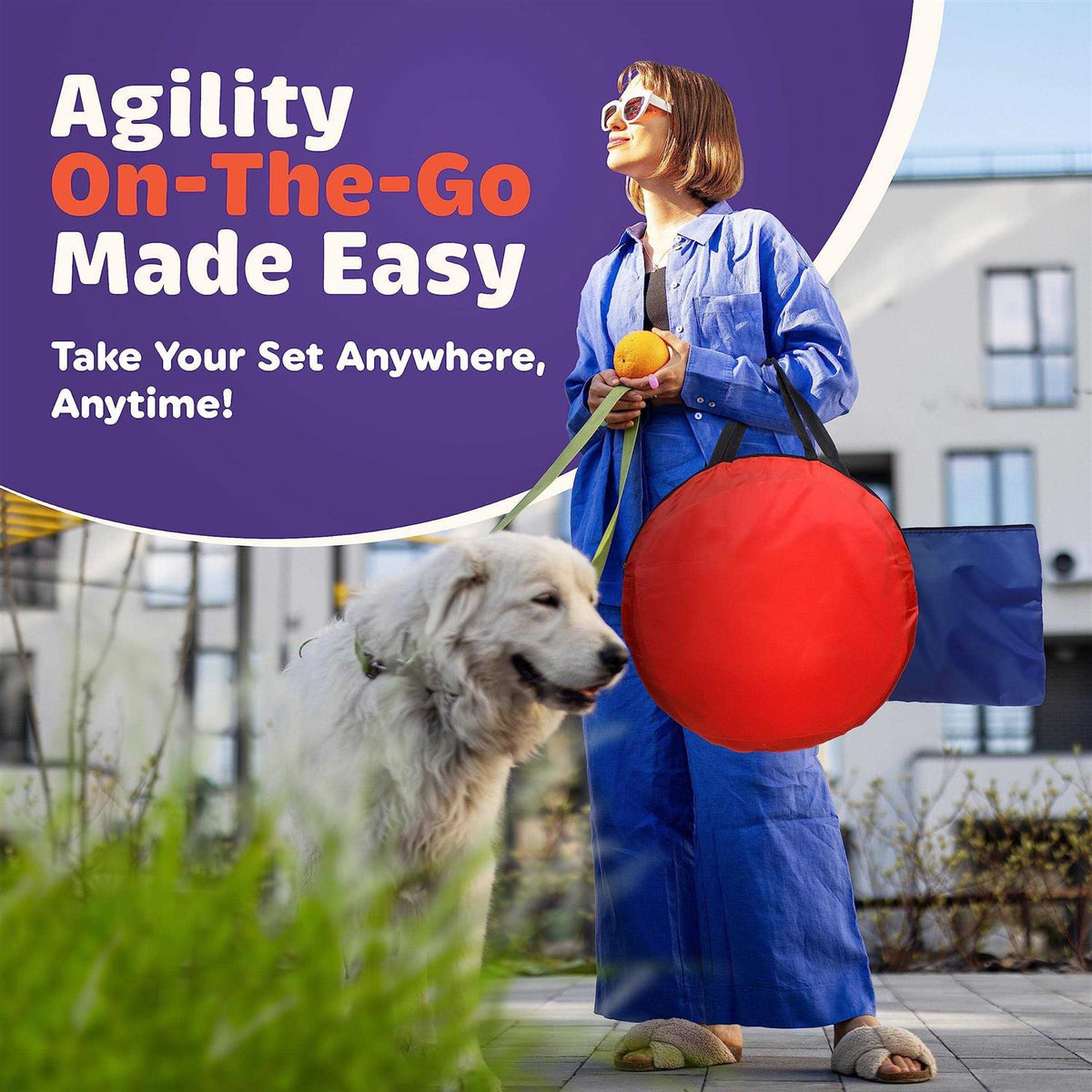 15 Piece Dog Agility Training Equipment Set E783672