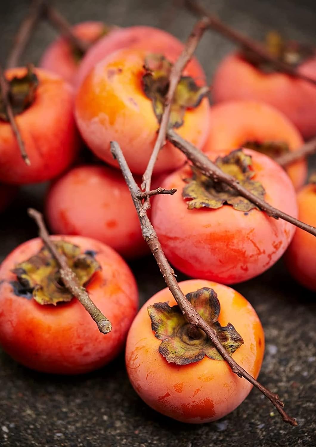 Persimmon Tree Seeds - 50 Seeds P3870