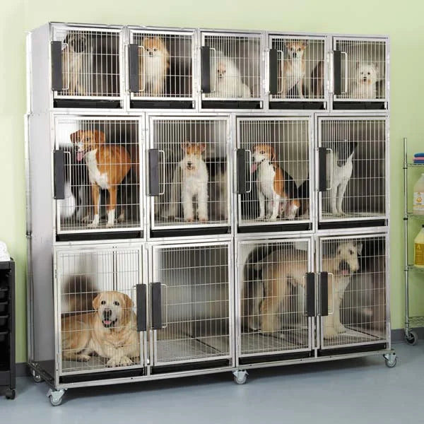 Modular Kennel Cage 11 Unit Stainless Steel Y129931