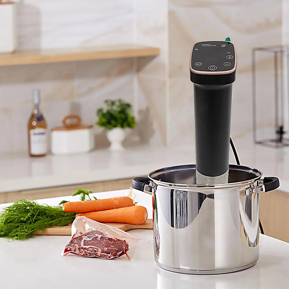 1100 Watts Immersion Circulator Precision Cooker Q208854