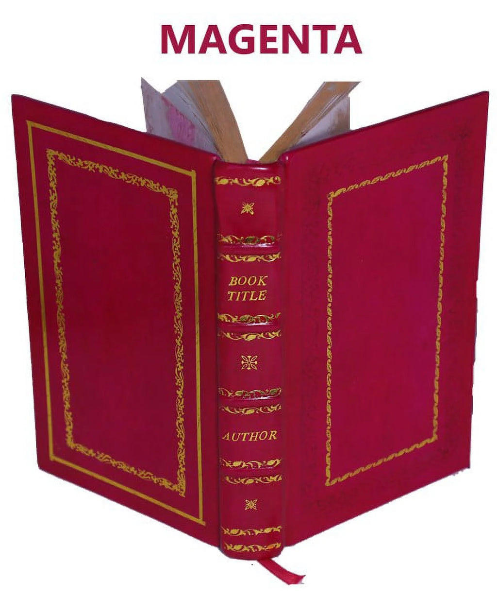 La bible d'Amiens 1910 Y23428