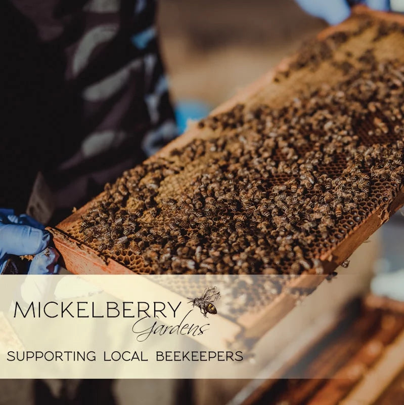 Bee Pollen I26659