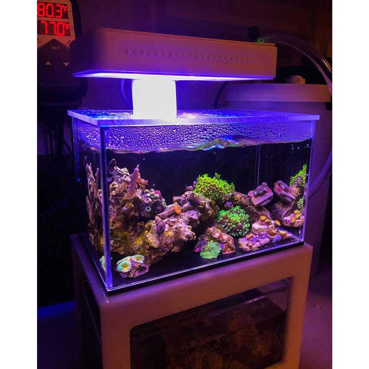 Desktop Aquarium Q93341