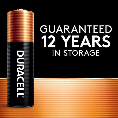 20 Count AAA Alkaline Batteries S821663