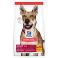 Adult Chicken & Barley Dry Dog Food L2057
