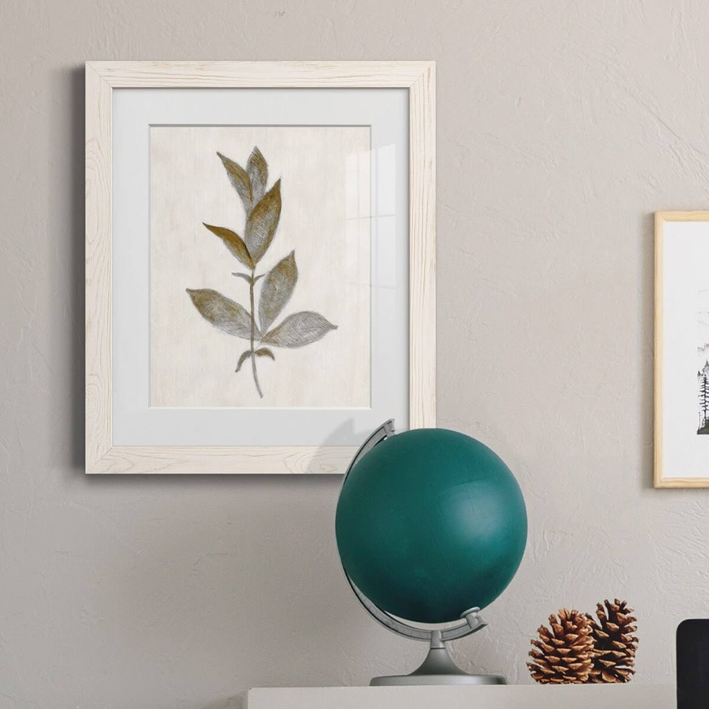 Walnut Framed Print Y9817