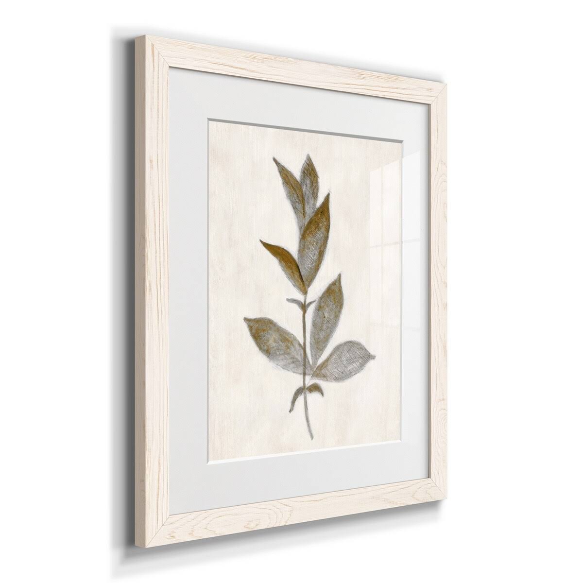 Walnut Framed Print Y9817