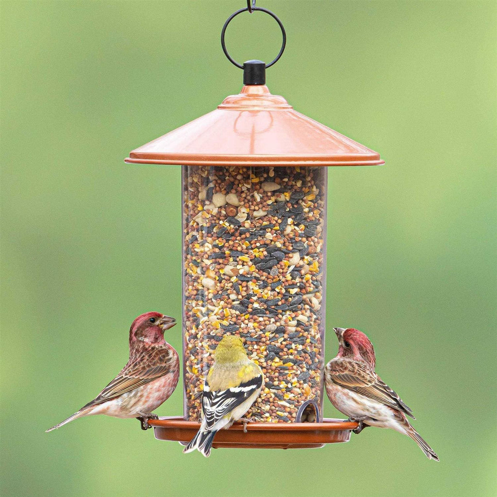 Peanut & Sunflower Wild Bird Feed E910849