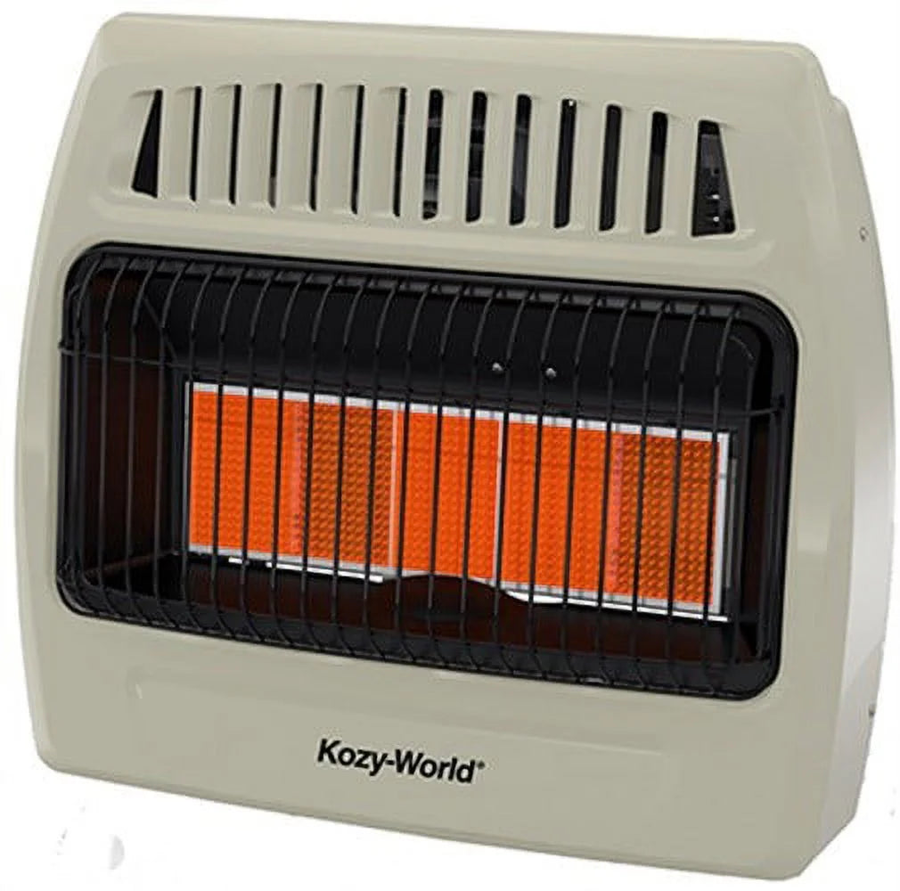 30,000 BTU Infrared Natural Gas Wall Heater C48492