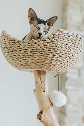 Brown Wooden Cat Tree M3673