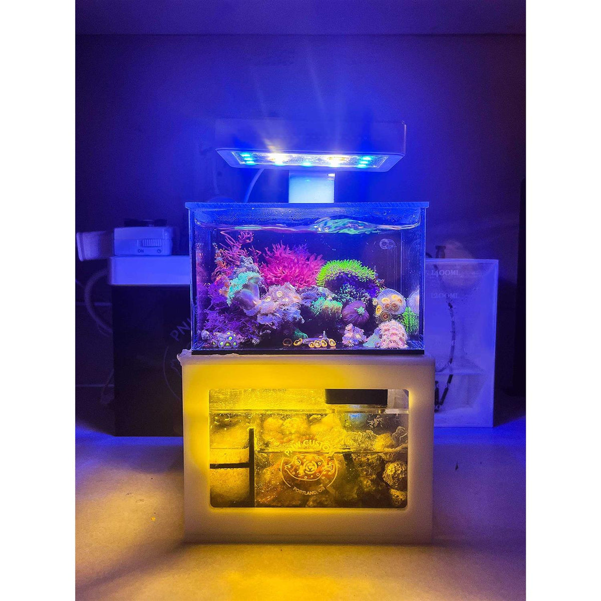 Desktop Aquarium Q93341