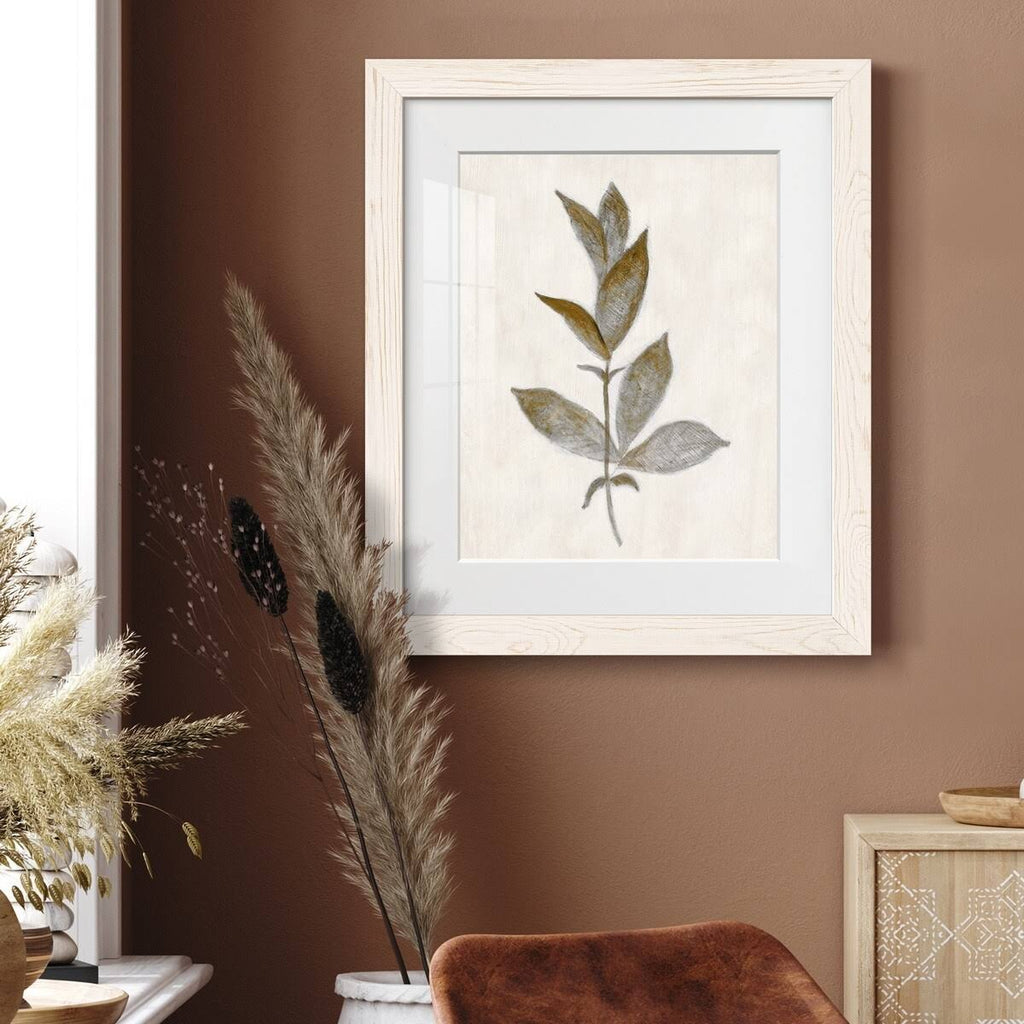 Walnut Framed Print Y9817