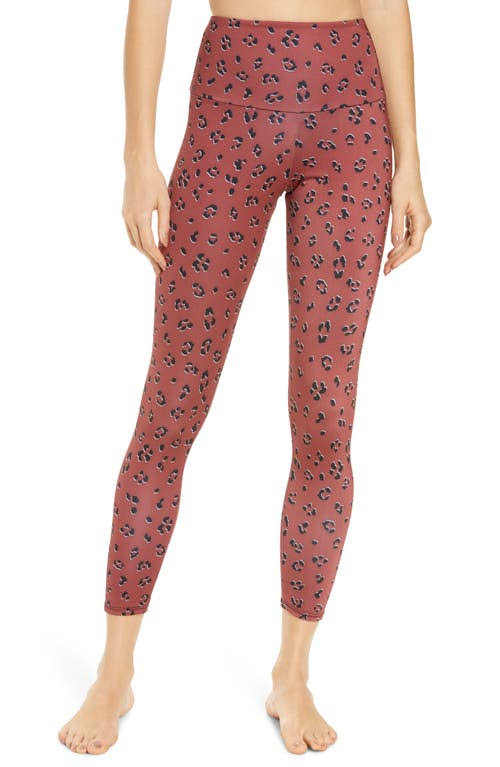 High Rise Capris, Size Medium in Lady Leopard A592112
