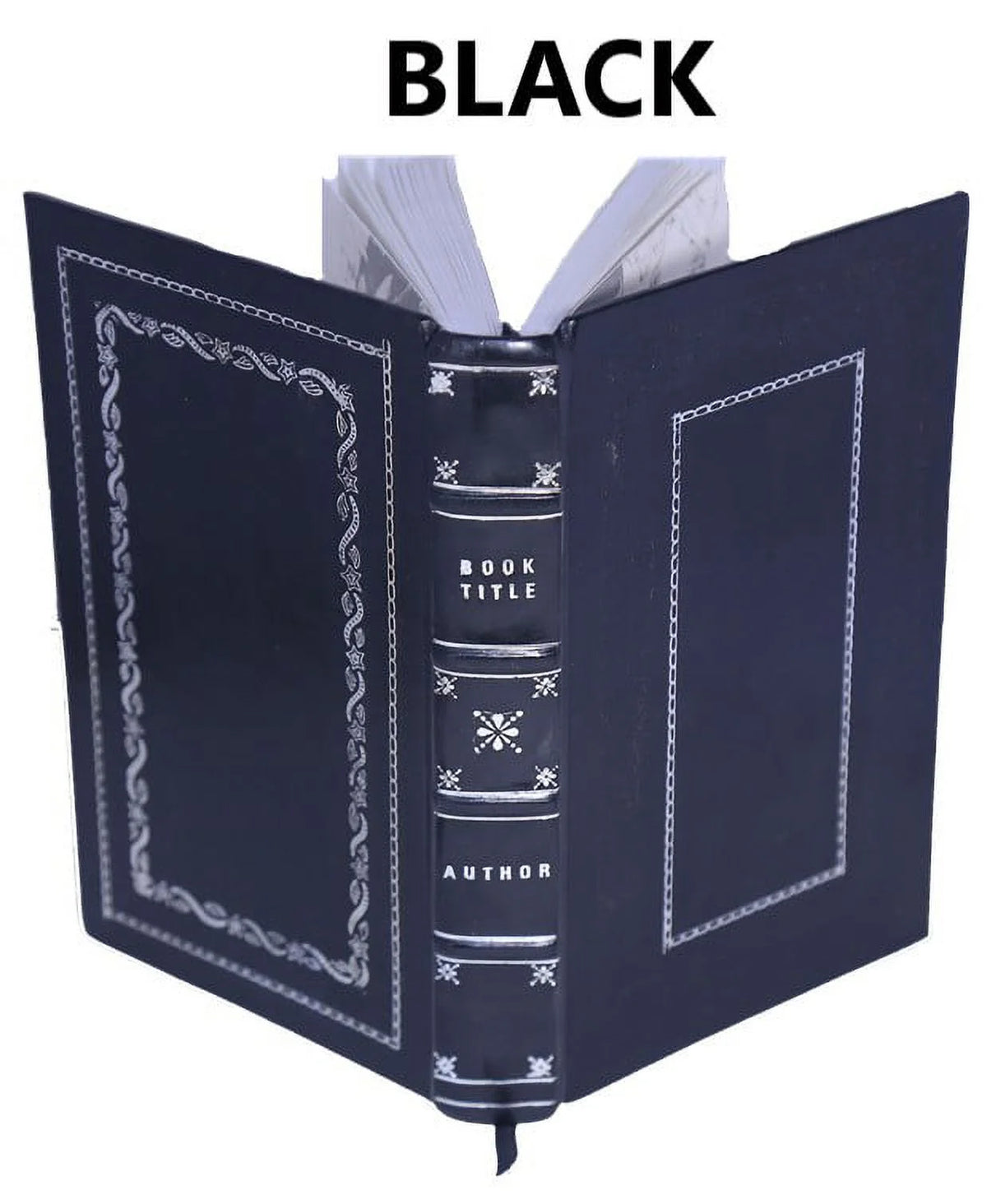 La bible d'Amiens 1910 Y23428