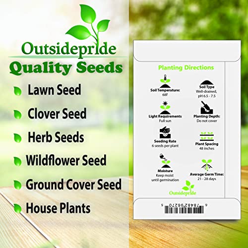 1000 Seeds Perennial Clematis Climbing Vine Garden Seeds O306