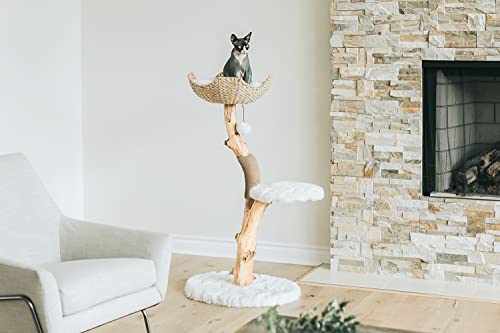 Brown Wooden Cat Tree M3673