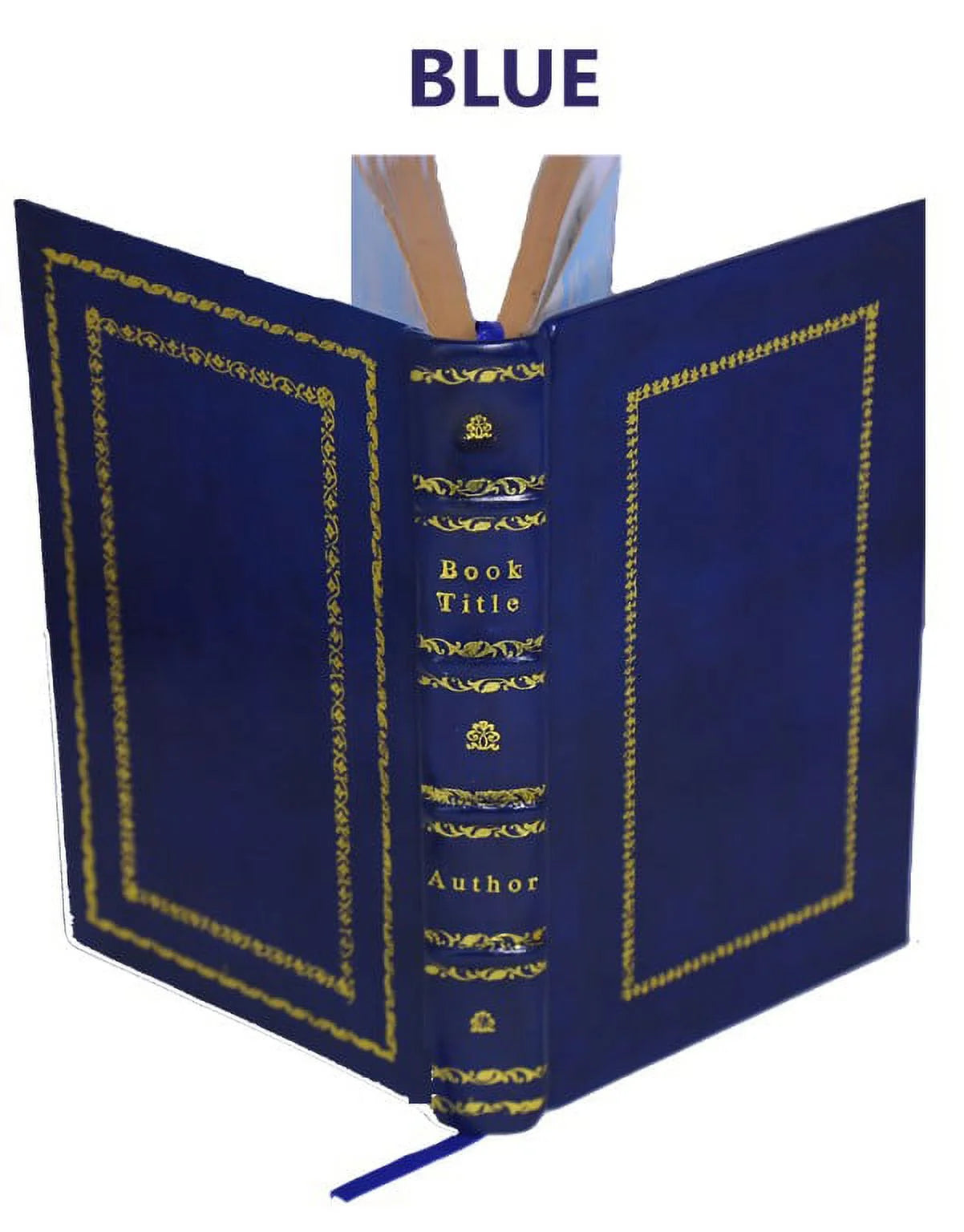 La bible d'Amiens 1910 Y23428