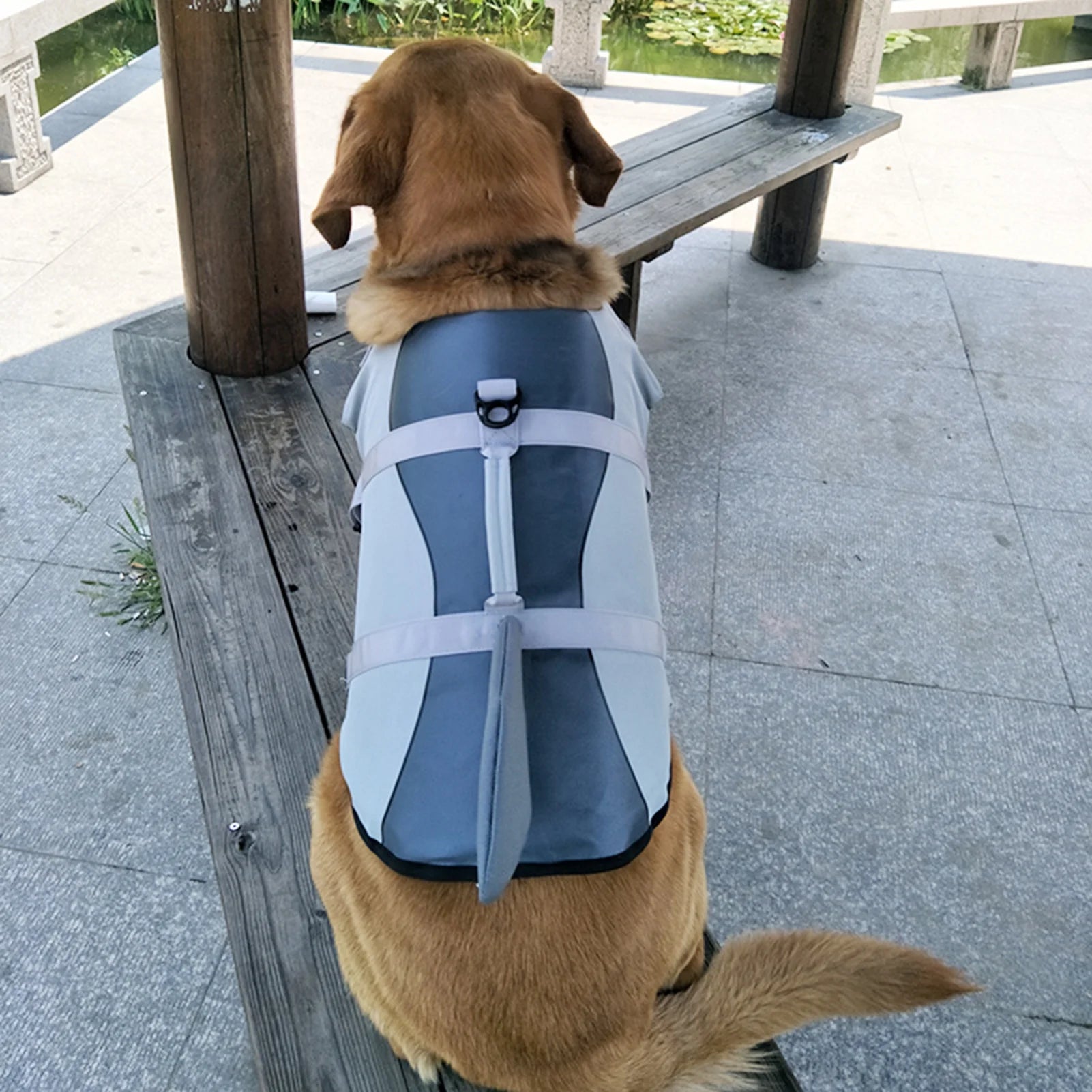 Dog Pet Shark Swimsuit Vest Pet Safety Wear Dog Swimsuit Preserver For Water Safety Device At The Pool, Beach, Boating E199