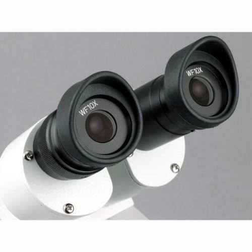 20X-40X-80X Forward Stereo Microscope with 1.3MP Digital Camera B4834