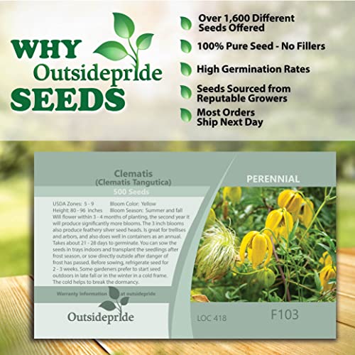 1000 Seeds Perennial Clematis Climbing Vine Garden Seeds O306
