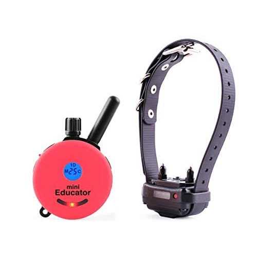 1/2 Mile Remote Dog Training System Bundle U53022