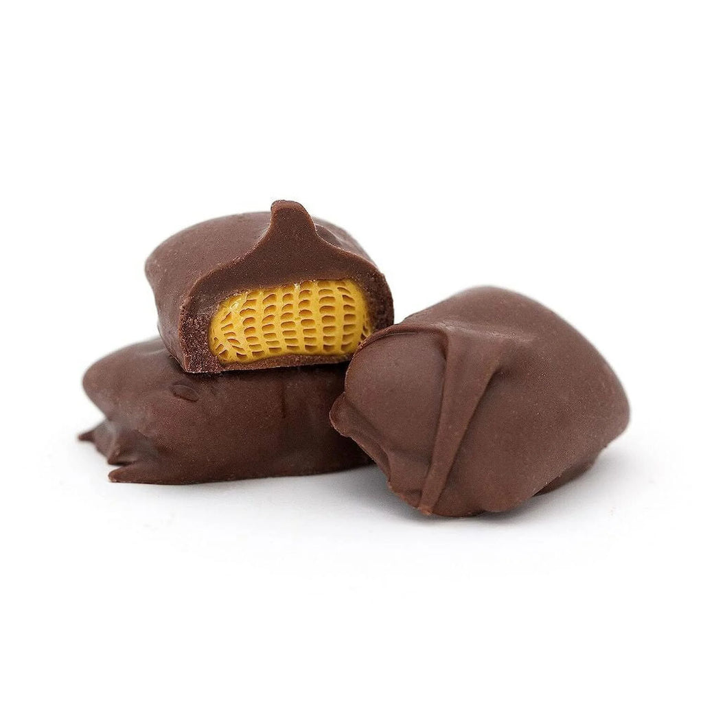 16-Ounce Dark Chocolate Covered Molasses Sponges Candy A7903