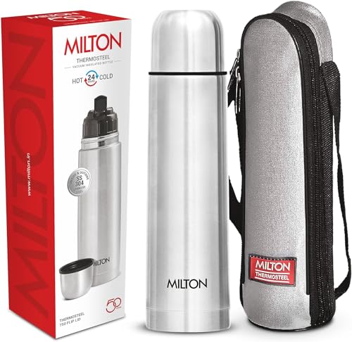 Silver Double Walled Vacuum Insulated Thermos 500 ml Stainless Steel W22762
