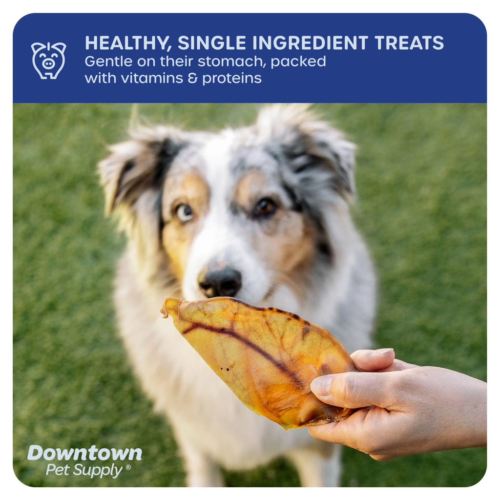 35 Pack Pig Ears Dog Chews F134