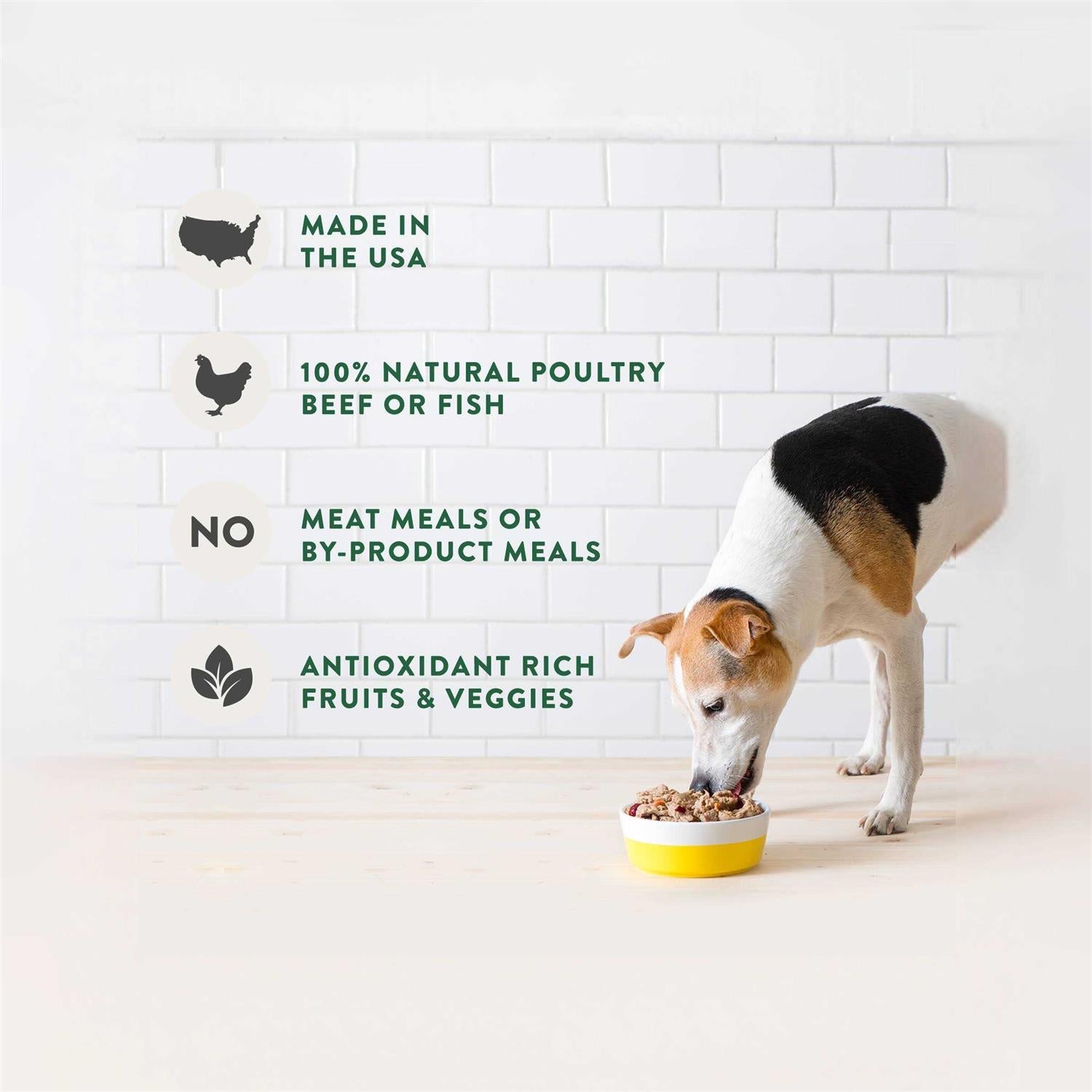 Chunky Beef Recipe Dog Food A909