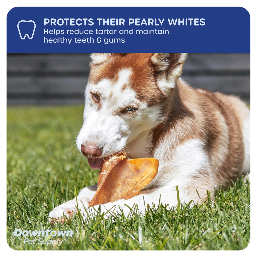 35 Pack Pig Ears Dog Chews F134