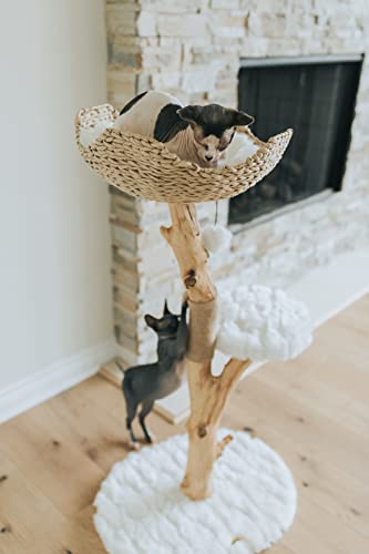 Brown Wooden Cat Tree M3673