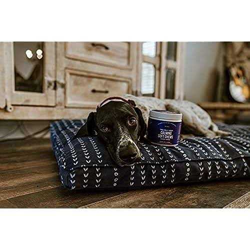 Calming Soft Chews for Dogs D649