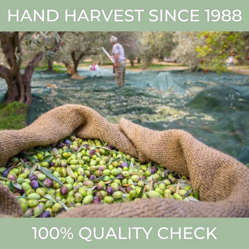 Extra Virgin Olive Oil L94044