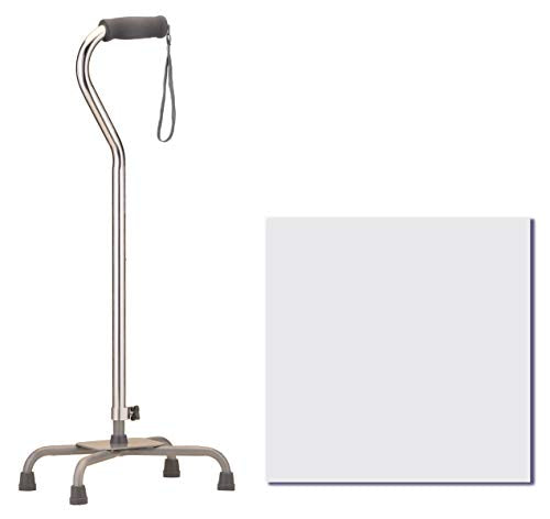 Large Base Offset Silver Quad Cane X10534